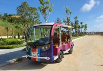 Kinh Nghiệm Chọn Xe Ô Tô Điện Phù Hợp – Góc Nhìn Chuyên Môn Từ Ngành