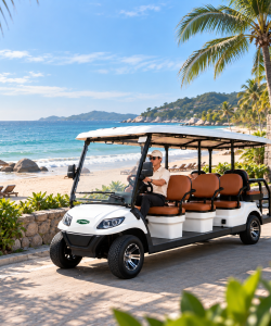 Xe điện chở khách Nha Trang – Lựa chọn thông minh cho các khu du lịch và nghỉ dưỡng