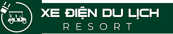 XE ĐIỆN LV TONG 